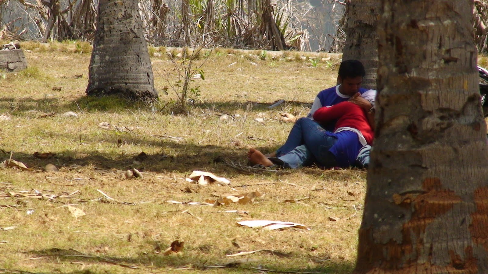 Hijab Indo Terbaru Indo Aku Mainin Putingnya Dari Belakang Kebun Sawit Top Global Wikwik 2026